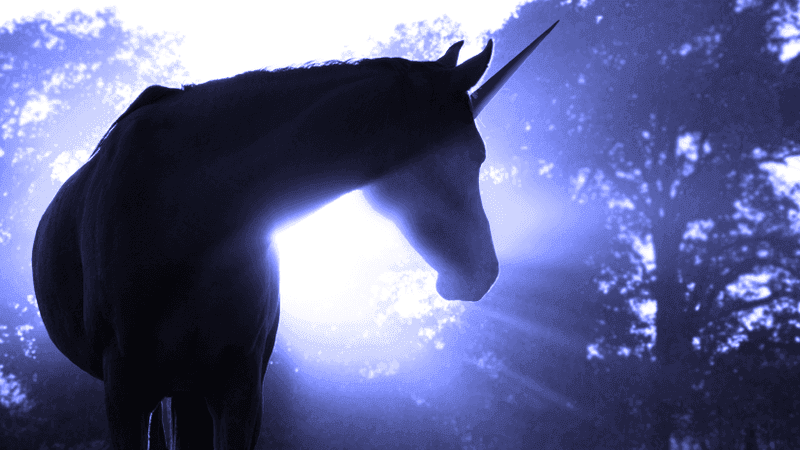 Searching For Unicorns