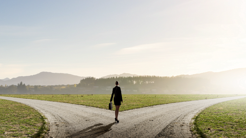 Will Your Career Choices Be Different In 2019