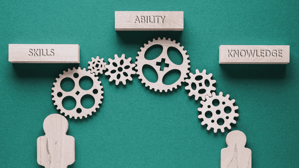Showcasing skills needed for career transition Brisbane