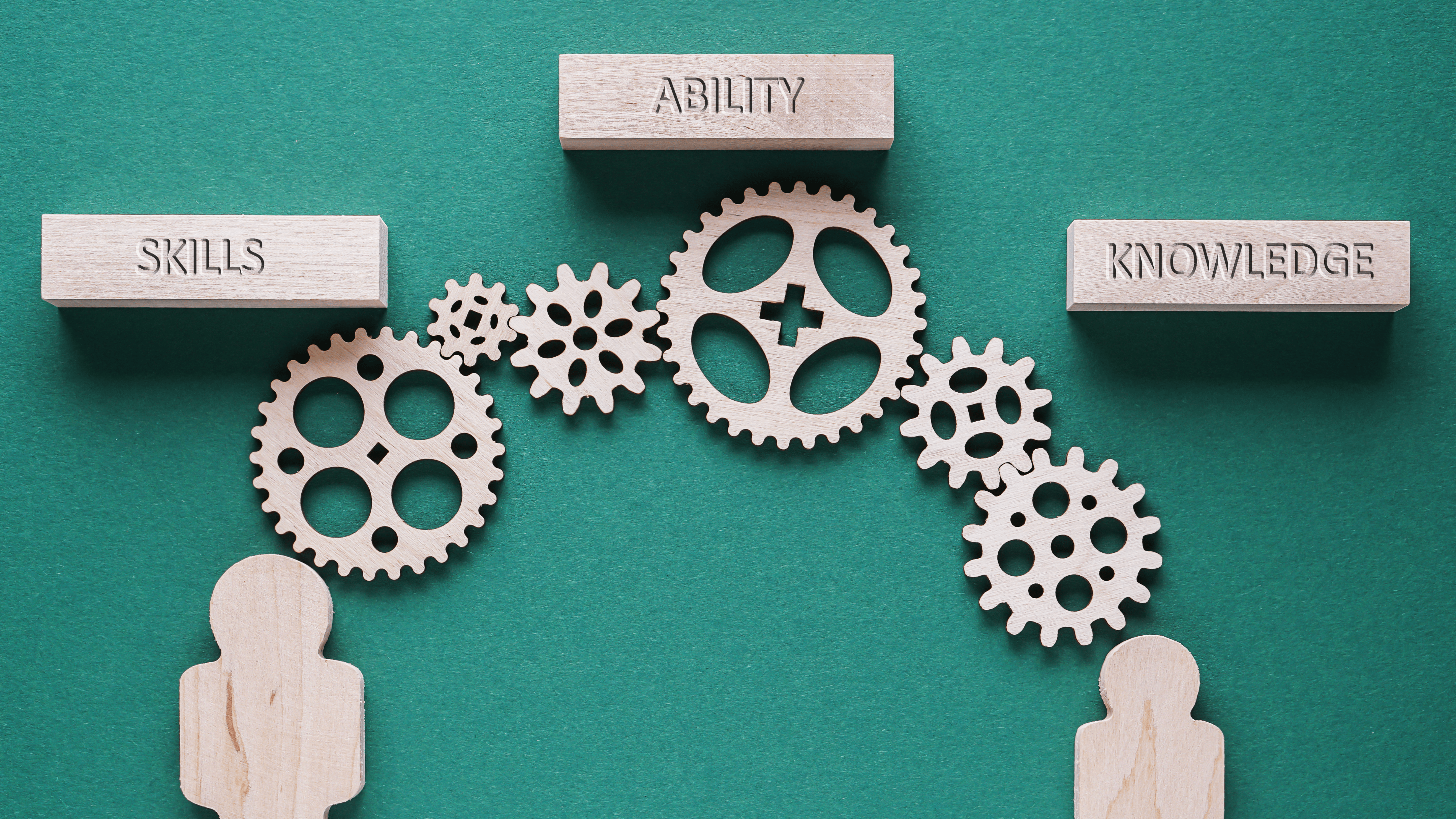 Showcasing skills needed for career transition Brisbane
